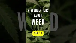 Misconceptions About Weed (P2) Quit Weed #shorts #quitweed #thelasttoke #weedwithdrawl #quittingweed