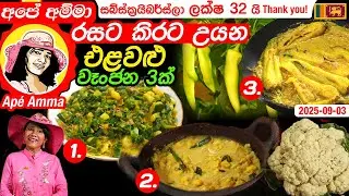 ✔අපේ අම්මා රසට කිරට උයන එළවළු වෑංජන 3ක් Sri lankan vegetable curries by Ap&eacute; Amma