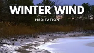 Frozen Pond and Winter Wind Soundscape