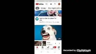Funny dog/cat mouth meme REALLY CHINKEN FUNNY