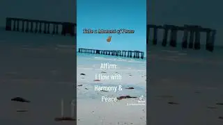 Peace Meditation #positivevibes #beachlife #floridalife #peace #Meditation #chantelgcinilizwe