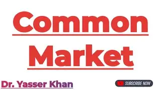 Common Market | Meaning Of Common Market | Economic Integration | Custom Union | Economics | CUET