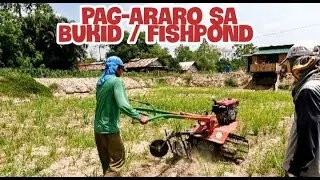 EP 94 Part1-2 Plowing /Pag-araro sa bukid /Fishpond gamit ang hand Tractor/Buhay bukid