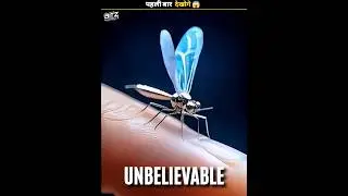 China Spy Mosquito Drone #shorts #chinaspy