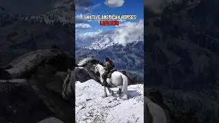 3 American Horses in Red Dead Redemption 2
