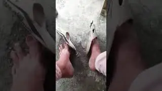 tsinelas gusto n