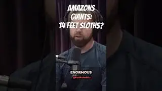 Amazon's Giants Revealed: Meet the 14-Foot Sloth! #joerogan #forrestgalante #jre #shorts