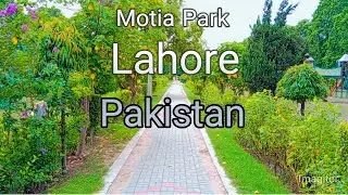 Motia Park View | Beautiful | Walking Tour | Lahore Pakistan