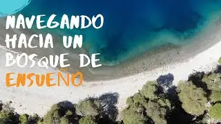 NAVEGANDO hacia un bosque de ensueño (12)
