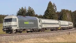 Railadventure Br 223 mit 10 Brems und Kuppelwagen in G&uuml;nzach!!!!