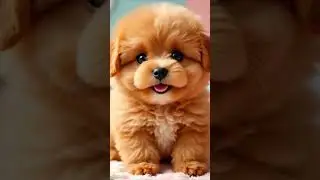 cutest fluppy puppy moves #cute #petlovers #puppy #puppymagic #seo