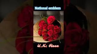 national emblem #emblem #ssc #upsc #hssc #gk #gs