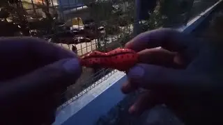 Test field home made soft frog by Lakojat. Sambaran last minute!! | Sabah Street Fishing 2022