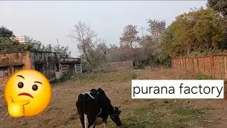 Ye kon da factory hai