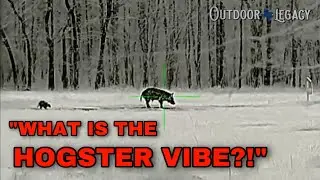 Bering Optics Hogster R vs. Hogster Vibe