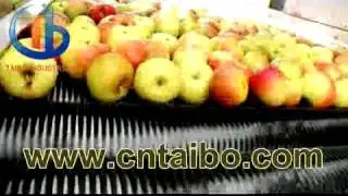 Fruit Washing Waxing Machine