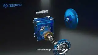 Meet the AOKMAN&reg; RV Worm Gear Reducer