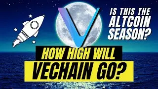 Прогноз цены VeChain на 2020 год (VET) | Новый сезон альткоинов?! | Cardano ADA, Ethereum ETH