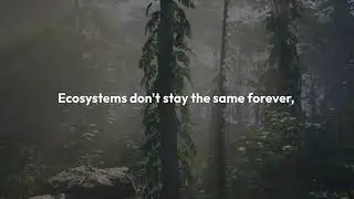 How all 5 stages of ecological succession work |