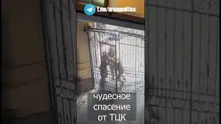 Чудесное спасение #юмор #всу #тцк #одесса