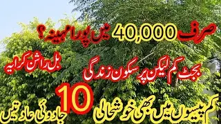 How I Manage Monthly Budget in just 40,000 Rupees💫10 Smart Budget Tips for Middleclass House wife✨