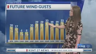 Evening Forecast, January 17, 2026