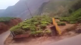 Trip to Vagamon Hill Station & Tea Estate