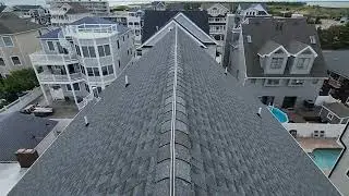 Protecting the Roof from Nuisance Birds with Shock Track