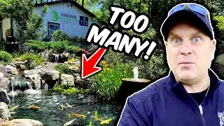 1.5 ACRES with  20 WATER FEATURES