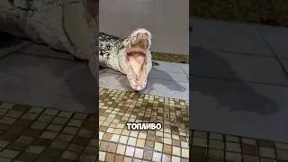 Табуретка с ушами