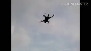 Catcopter
