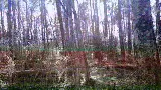 adventure tales: with otto and brian (reds preinitiation)