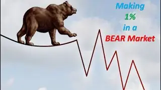 Liberium Crypto making 1% a week in a Bear Market