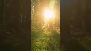 Cinematic Trailer - Epic Background Music for video