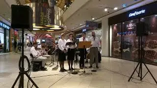 Gro&szlig;er Gott, wie wundersch&ouml;n 🎻🎹🎤