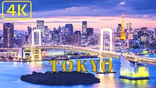 Tokyo, Japan 🇯🇵 - by drone 4K 60FPS|【4K HDR】Night Walk in Tokyo|timelapse Tokyo 4k