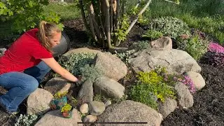 Rock Garden Update & Planting! | Simply Bloom