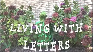 Camouflaged Praying Mantis Presents a Teachable Moment for Pre-K Children to Learn About Insects