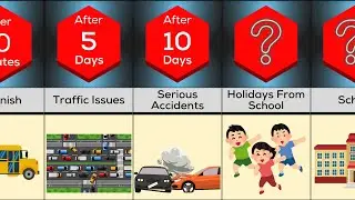 What if all the school buses get disappeared? || Data Vision