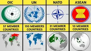 Most Popular Alliance Around The World