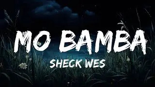 Sheck Wes - Mo Bamba (Lyrics / Lyric Video) | Top Best Songs