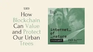 S3E9 &mdash; How Blockchain Can Value and Protect Our Urban Trees with Mark & Willem of TreeCollective
