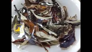 Organic ancient trees white tea#fouramazingtea#organictea#whitetea#blacktea#milkoolongtea#puer