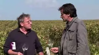 Comprendre Sancerre avec Alphonse Mellot Senior....et Junior !