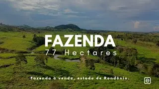 OPORTUNIDADE! Fazenda de 77 Hectares à Venda! (RONDÔNIA)
