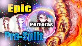 DUAL AGAR - HACKED 11 MILLION SCORE & INCRE&Iacute;BLE PRE-SPLIT AND MORE INSANE DOUBLESPLIT - Perrotas
