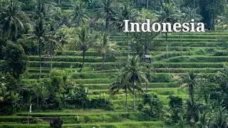 Indonesia: From Bali to Papua | Islands, Wildlife & Culture Documentary