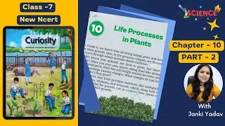 Life Processes in Plants | Class 7 Science Chapter 10 |Part 2 | NCERT | Curiosity Book | kaliyaanTv