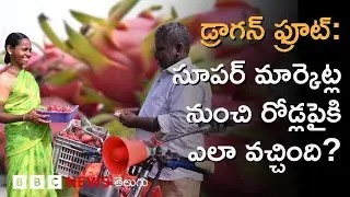 Dragon Fruit: ఒకప్పుడు సూపర్ మార్కెట్లలోనే కనిపించిన ఈ పండు పల్లెటూళ్లకు ఎలా చేరుకుంది? BBC Telugu