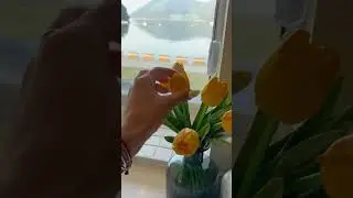 Arabic asmr ايسمر فلوق فجزيرة بكوريا 